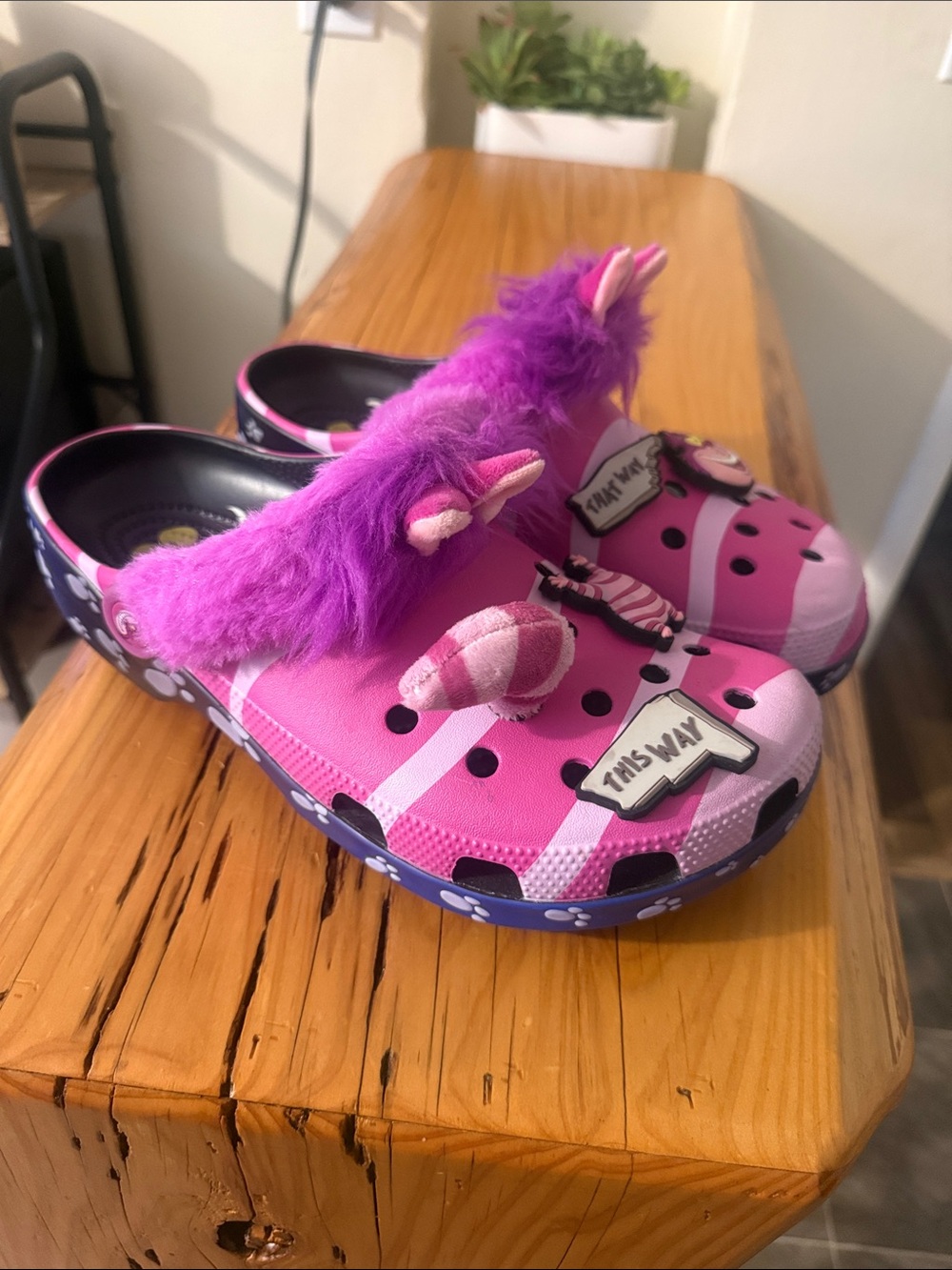 Adult Cheshire Cat Classic Clog